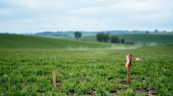 Guide des études de sol en Yvelines pour constructions durables
