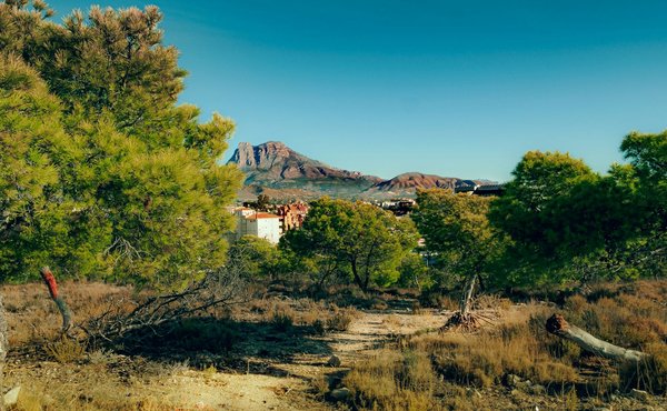 ¿Cómo desarrollar una campaña de publicidad efectiva en plataformas de streaming?